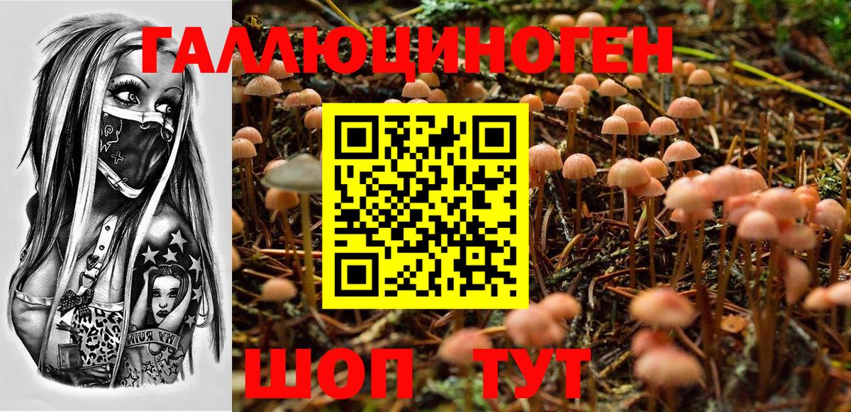 как найти закладки  Галлюциногенные грибы мухоморы  Вход с VPN  Чусовой 